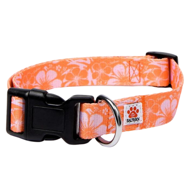 Saltrock - Hibiscus - Dog Collar